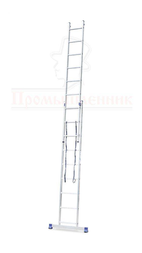 Лестница двухсекционная Alumet Ал 5209 фото 3